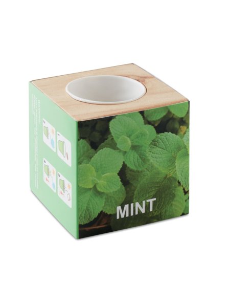 Pot en bois avec graine Menthe