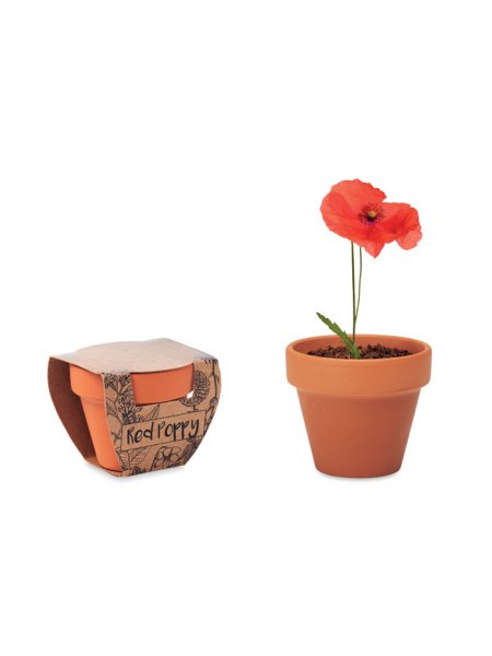 Pot graines de coquelicot